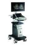 GE Logiq P10 Ultrasound - Cardiac - Vascular