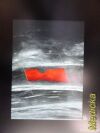 GE HEALTHCARE GE i12L Linear Array Ultrasound Transducer
